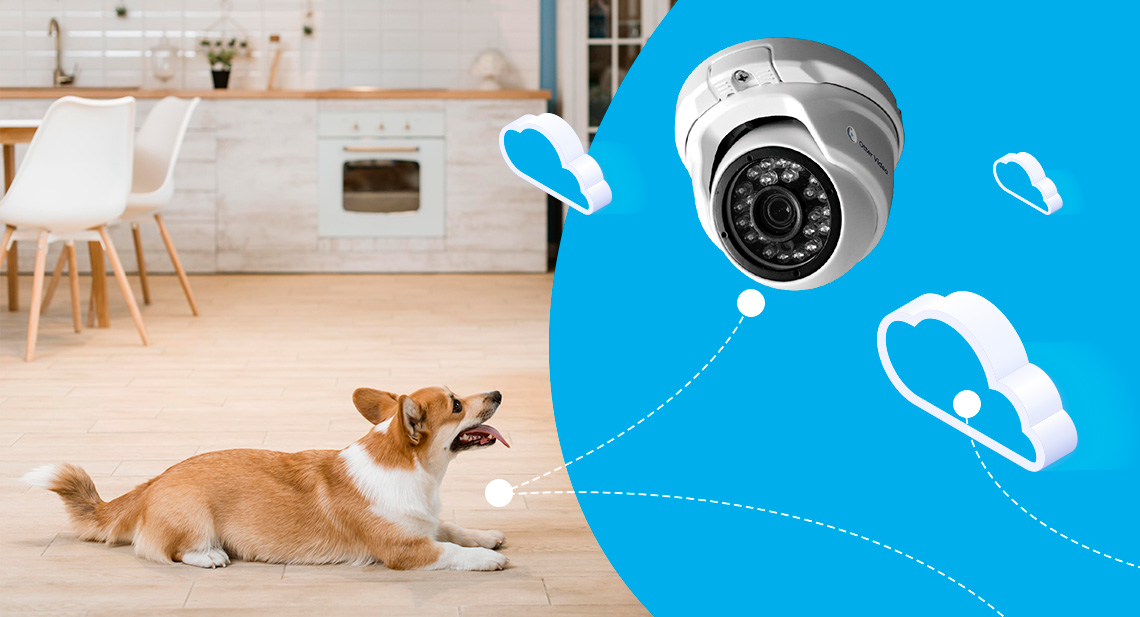 Home Video Surveillance Cameras: Features, Differences and Advantages